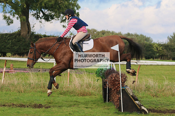 Hurworth Hunter Trial 250