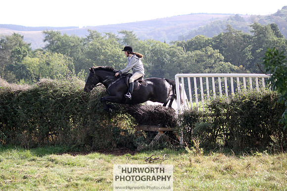 Hurworth Bilsdale Hedge Hop 385