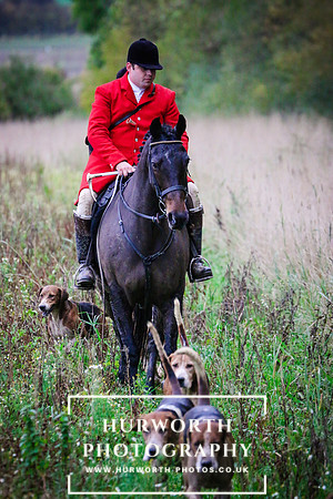 Hurworth Hunt  494
