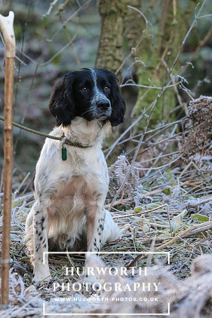 Studley Royal Ladies Shoot 058