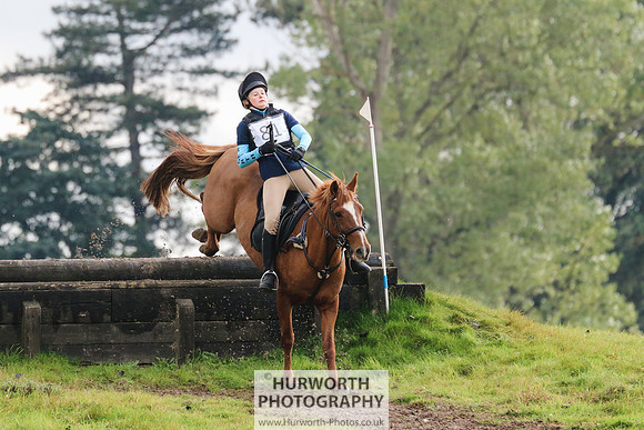 Hurworth Hunter Trial 370