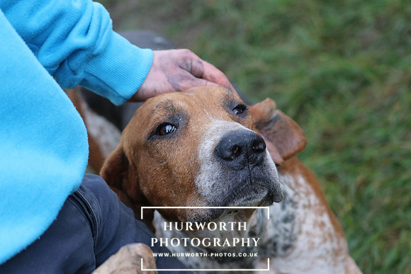 Hurworth Hunt  113