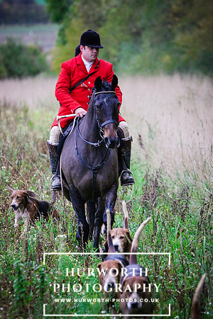Hurworth Hunt  495