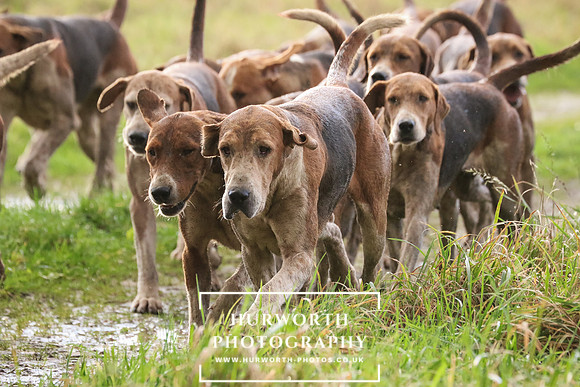 Hurworth Hunt  199