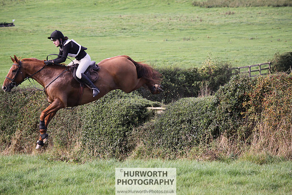 Hurworth Bilsdale Hedge Hop 618