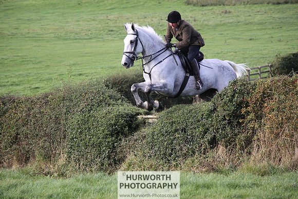 Hurworth Bilsdale Hedge Hop 610