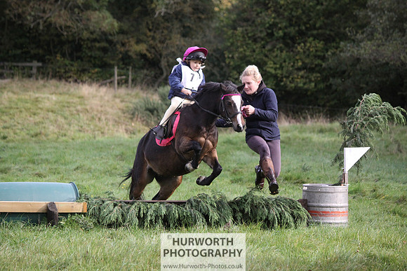 Hurworth Bilsdale Hedge Hop 003