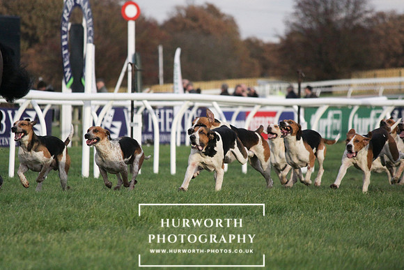 Countryside Raceday 155