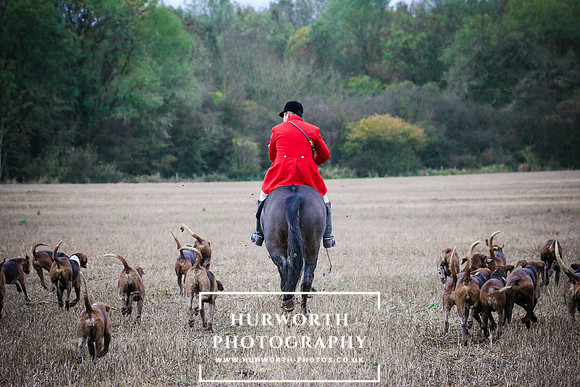 Hurworth Hunt  481
