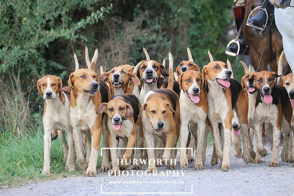 Hurworth Hunt 143