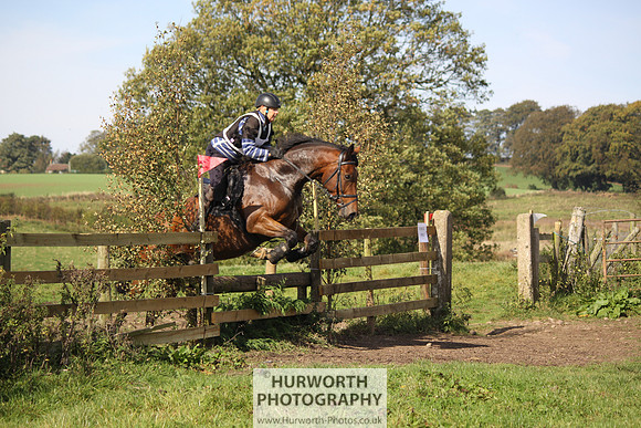 Hurworth Bilsdale Hedge Hop 231
