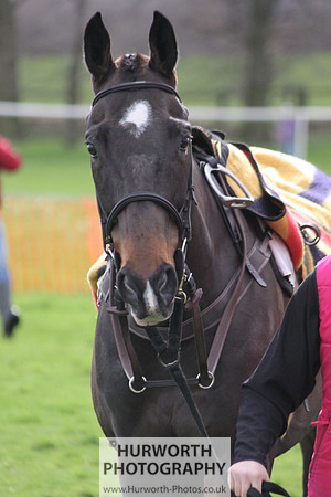 Hurworth Point to Point Members Race 006