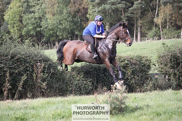 Hurworth Bilsdale Hedge Hop 607