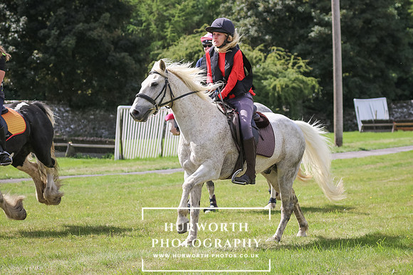 Hurworth Pleasure Ride 350