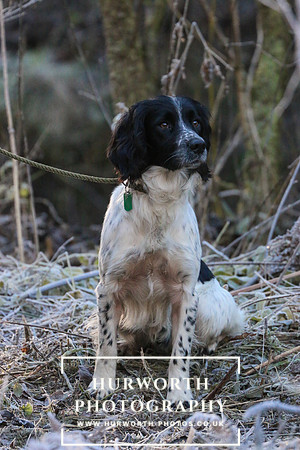 Studley Royal Ladies Shoot 052
