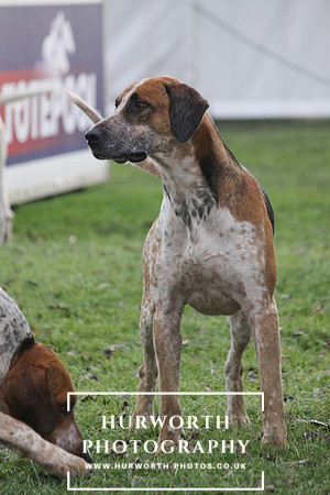 Countryside Raceday 117