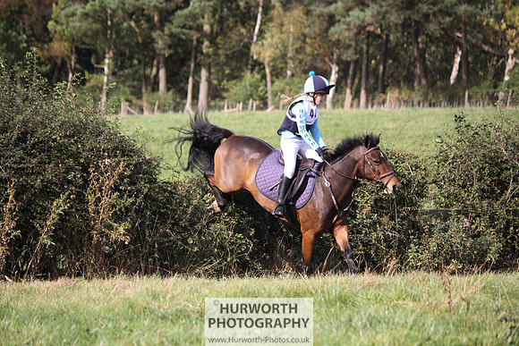 Hurworth Bilsdale Hedge Hop 319