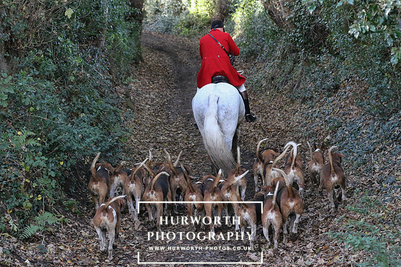 Huworth Hunt 260