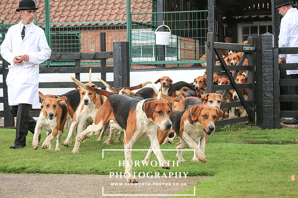Hurworth Hunt 129