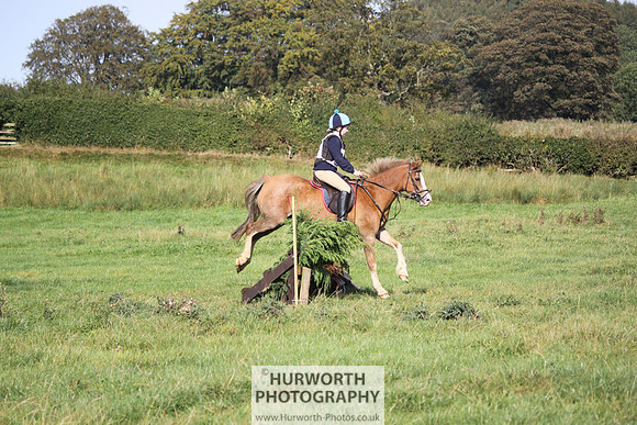 Hurworth Bilsdale Hedge Hop 344