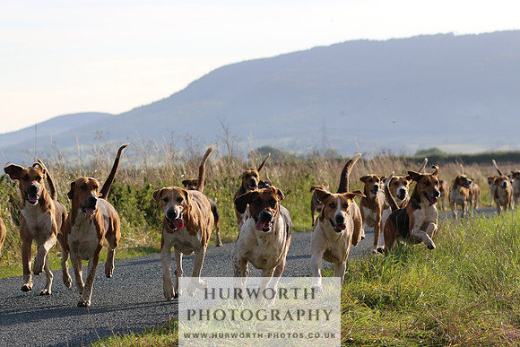 Hurworth Hunt 107