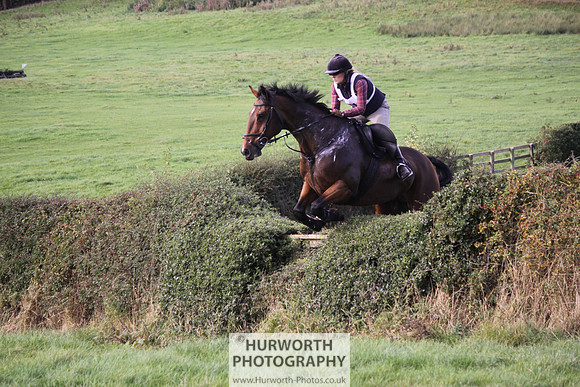 Hurworth Bilsdale Hedge Hop 613