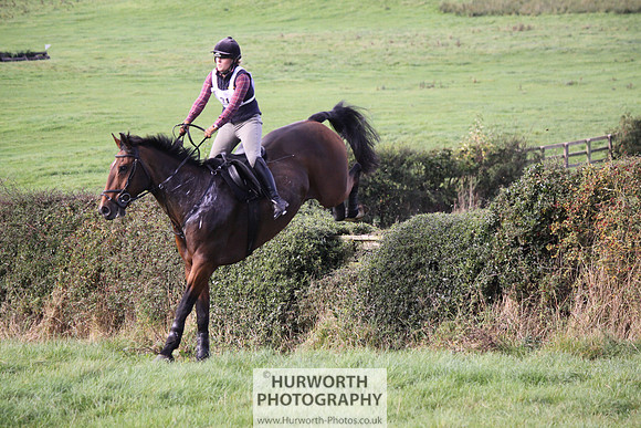 Hurworth Bilsdale Hedge Hop 615