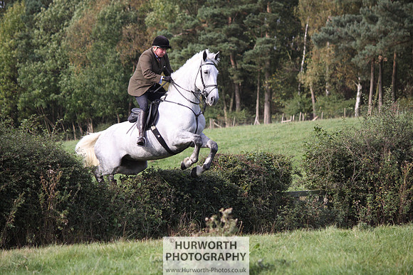Hurworth Bilsdale Hedge Hop 591