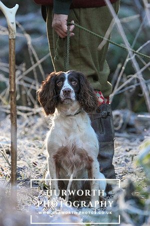 Studley Royal Ladies Shoot 049