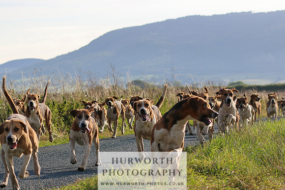 Hurworth Hunt 105
