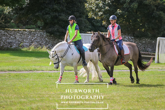 Hurworth Pleasure Ride 340