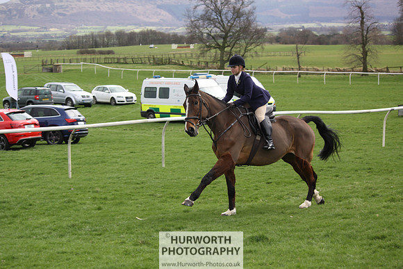 Hurworth Point to Point 039