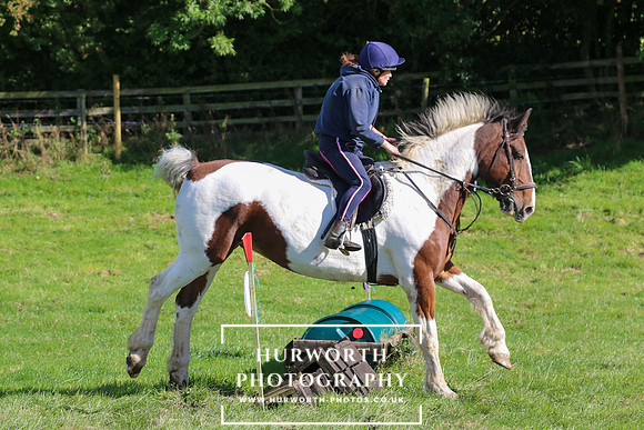 Hurworth Hunt 033