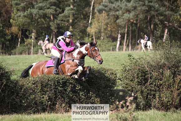 Hurworth Bilsdale Hedge Hop 421