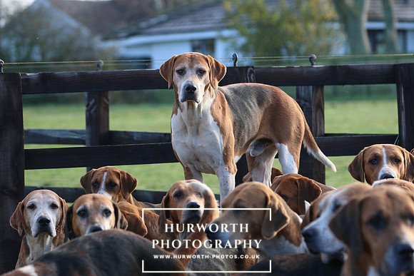 Hurworth Hunt 84