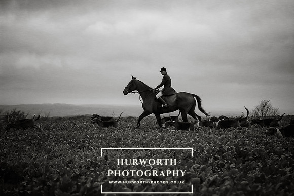 Hurworth Hunt 431