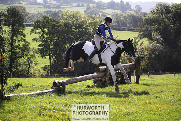 Hurworth Bilsdale Hedge Hop 253