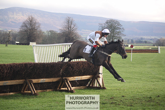 Hurworth Point to Point Mens Open Race 034
