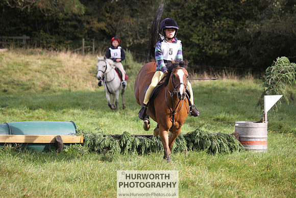 Hurworth Bilsdale Hedge Hop 058