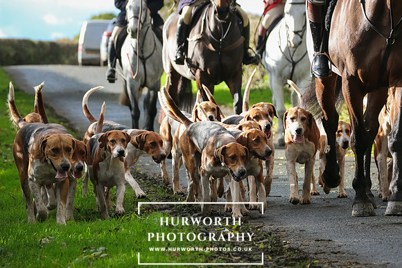 Hurworth Hunt  39