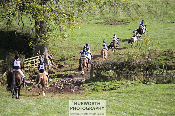 Hurworth Bilsdale Hedge Hop 348