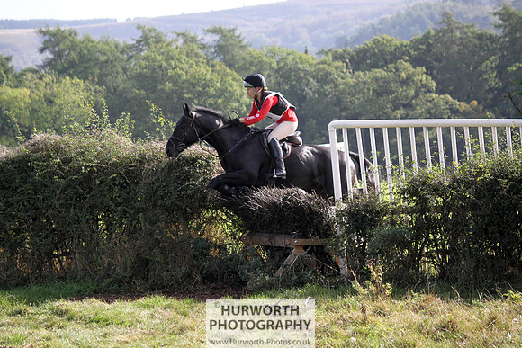 Hurworth Bilsdale Hedge Hop 390