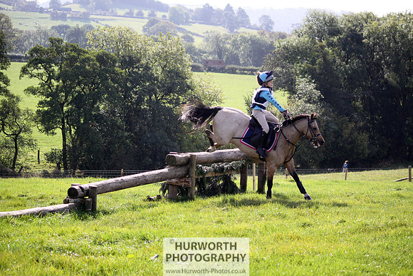 Hurworth Bilsdale Hedge Hop 275