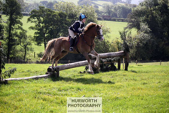 Hurworth Bilsdale Hedge Hop 268