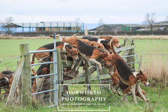 Hurworth Hunt 236