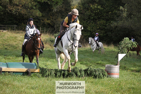 Hurworth Bilsdale Hedge Hop 049