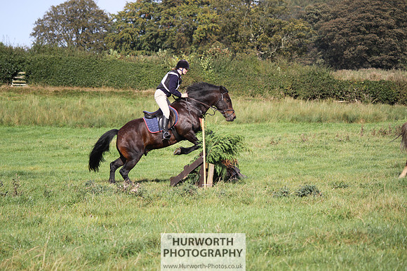 Hurworth Bilsdale Hedge Hop 345