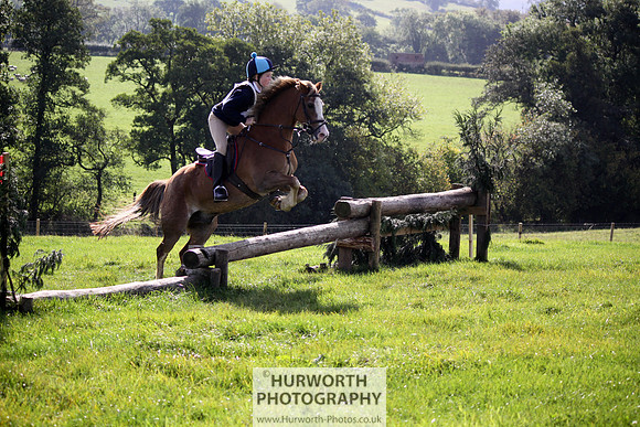 Hurworth Bilsdale Hedge Hop 267