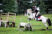 Hurworth Hunter Trial 124