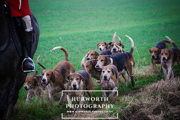 Hurworth Hunt  477